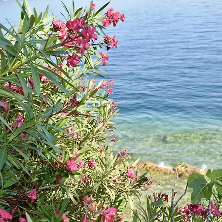 Marierose - Rebomaholidays Appartamento *